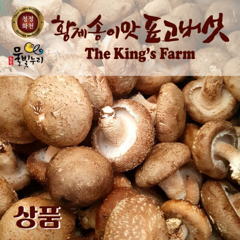 강원화천몰,황제송이맛표고버섯 상품 1kg