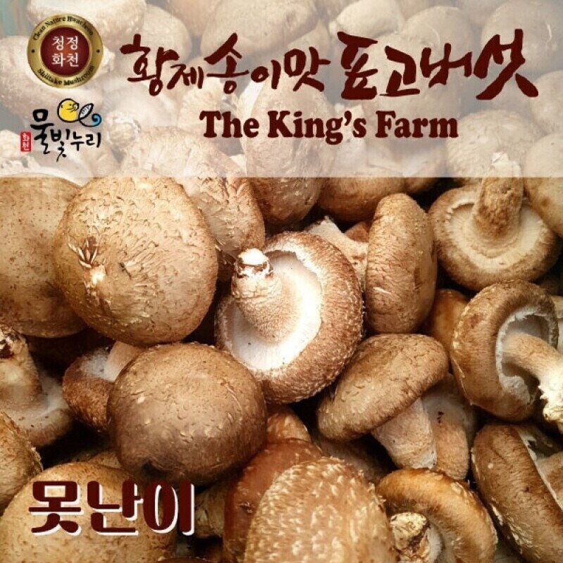 강원더몰,(봄빛장터), (못난이 상품) 황제송이맛표고버섯 못난이 1kg